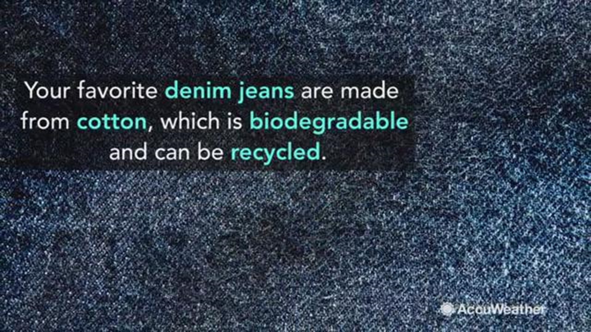 Recycled Blue Jean Insulation at Your Local Store - Sustainable