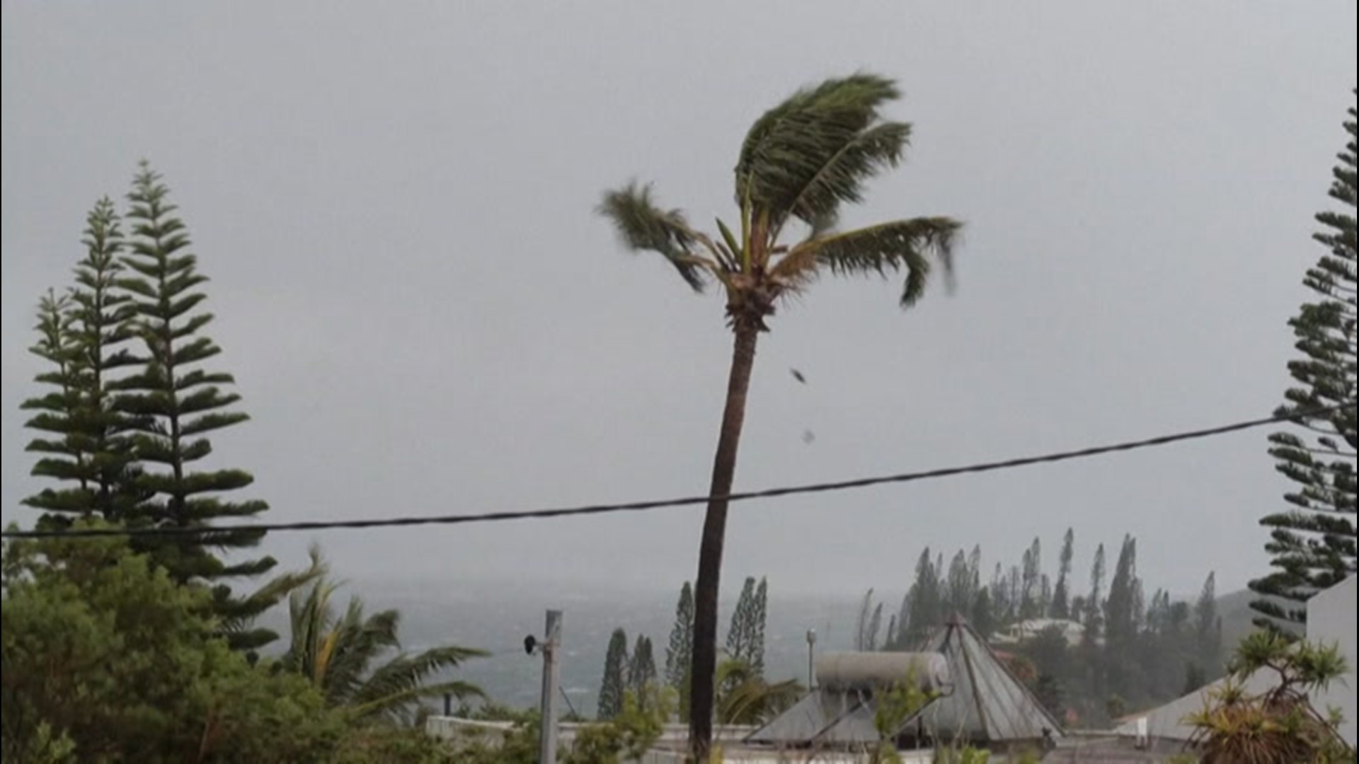Strong winds blew through Noumea, New Caledonia, as a level-2 hurricane alert was issued for Cyclone Niran on March 6.