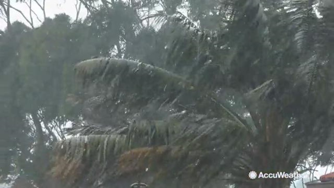 Hurricane Michael on similar path of previous Hurricanes 