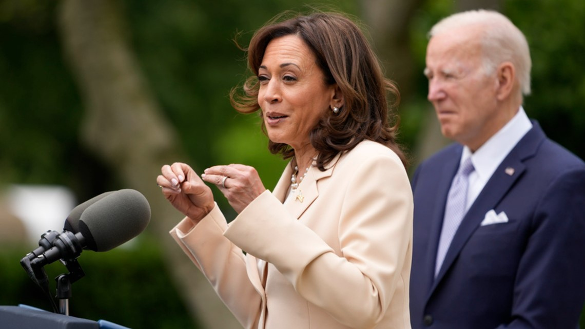 Harris meets with tech CEOs about AI regulation - Vimarsana News