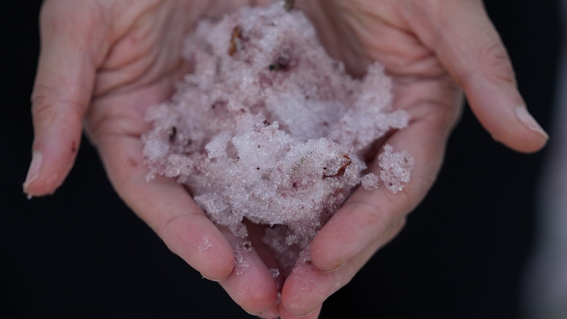What is Watermelon snow? Pinkish snow in Utah piques curiosities - Vimarsana News