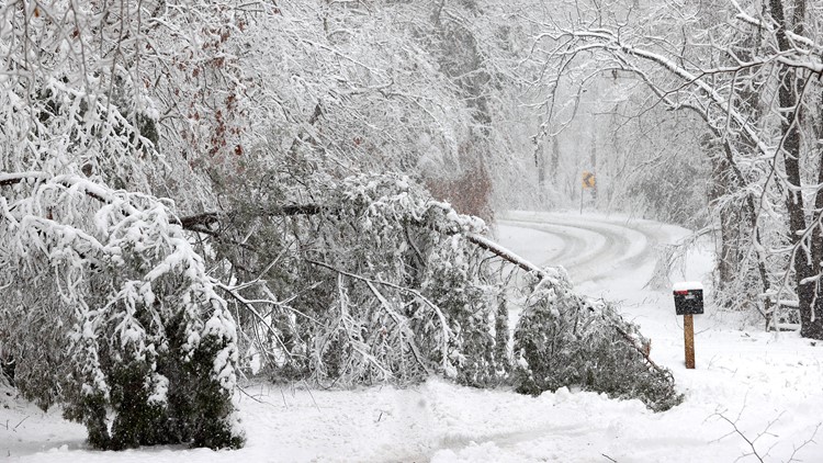 Winter storm to bring blizzard conditions to US East Coast