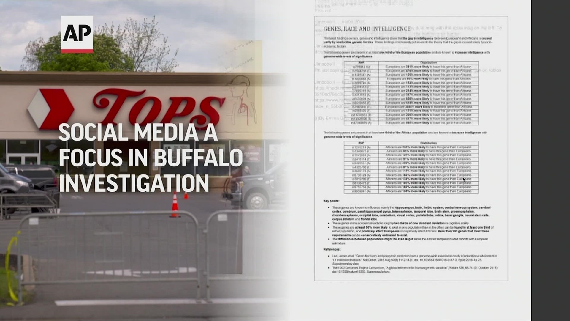 The alleged shooter kept an online diary for months where he detailed his plans to go to Buffalo and kill as many people as he could.