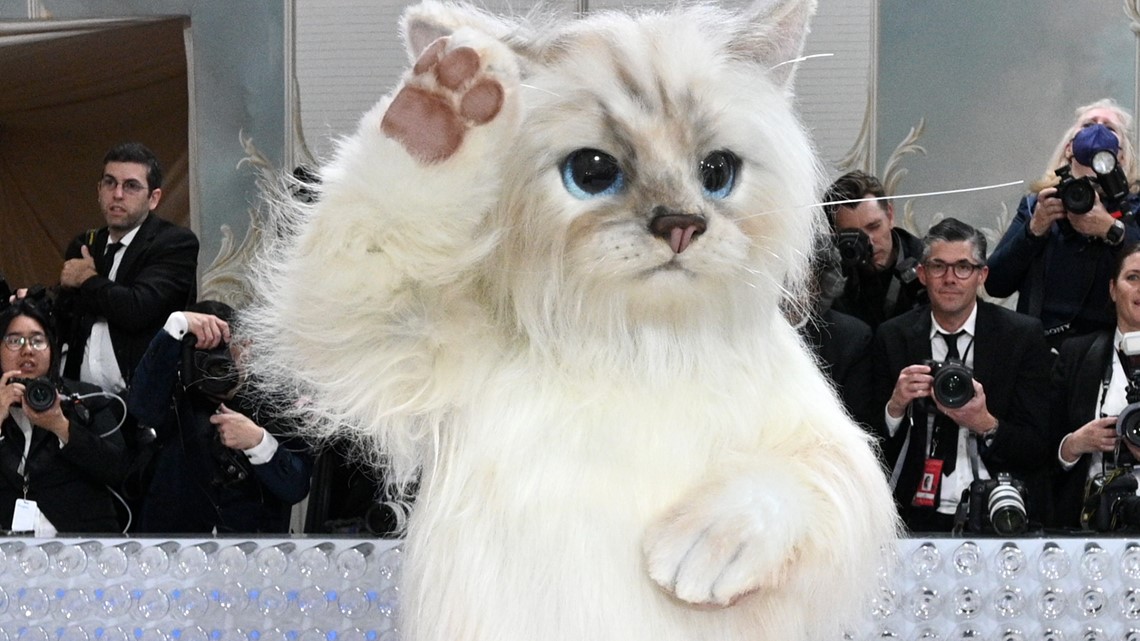 Met Gala: Rihanna, Jared Leto as Choupette, Kim K. in pearls