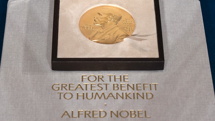 Tanzanian Abdulrazak Gurnah awarded Nobel literature prize