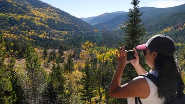 Why climate change is making it harder to chase fall foliage