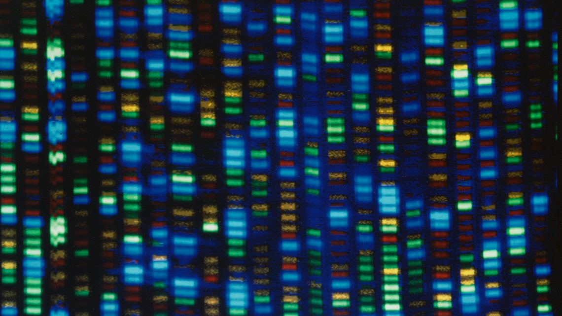 Human genome decoded fully | 13newsnow.com - Vimarsana News