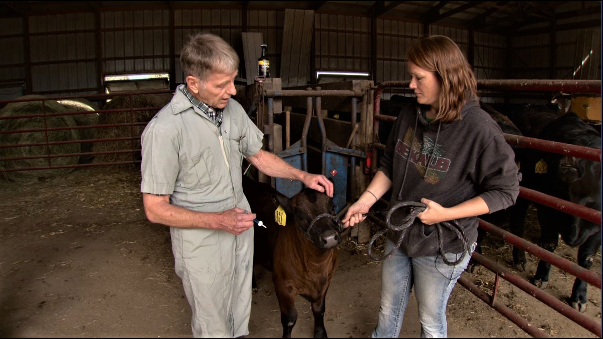 At 74, Dr. Robert Bogan doesn't want to leave Faribault County, Minnesota without a veterinarian