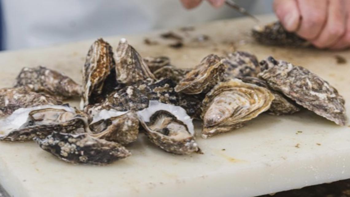 Raw oysters linked to Salmonella outbreak in 22 states, including Virginia and NC