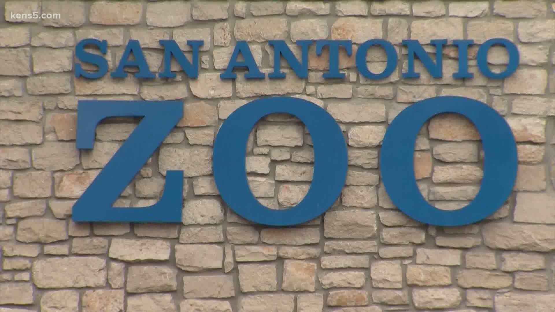 San Antonio Zoo to receive COVID19 vaccines for its