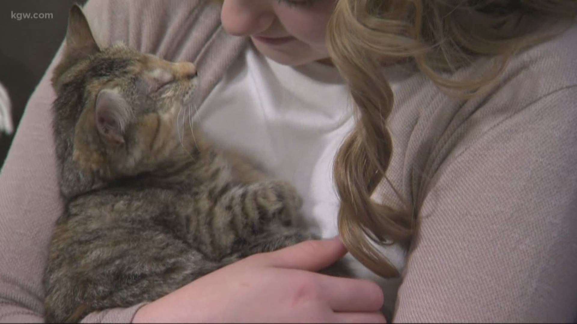 The perfect match, blind kitten gets adopted.