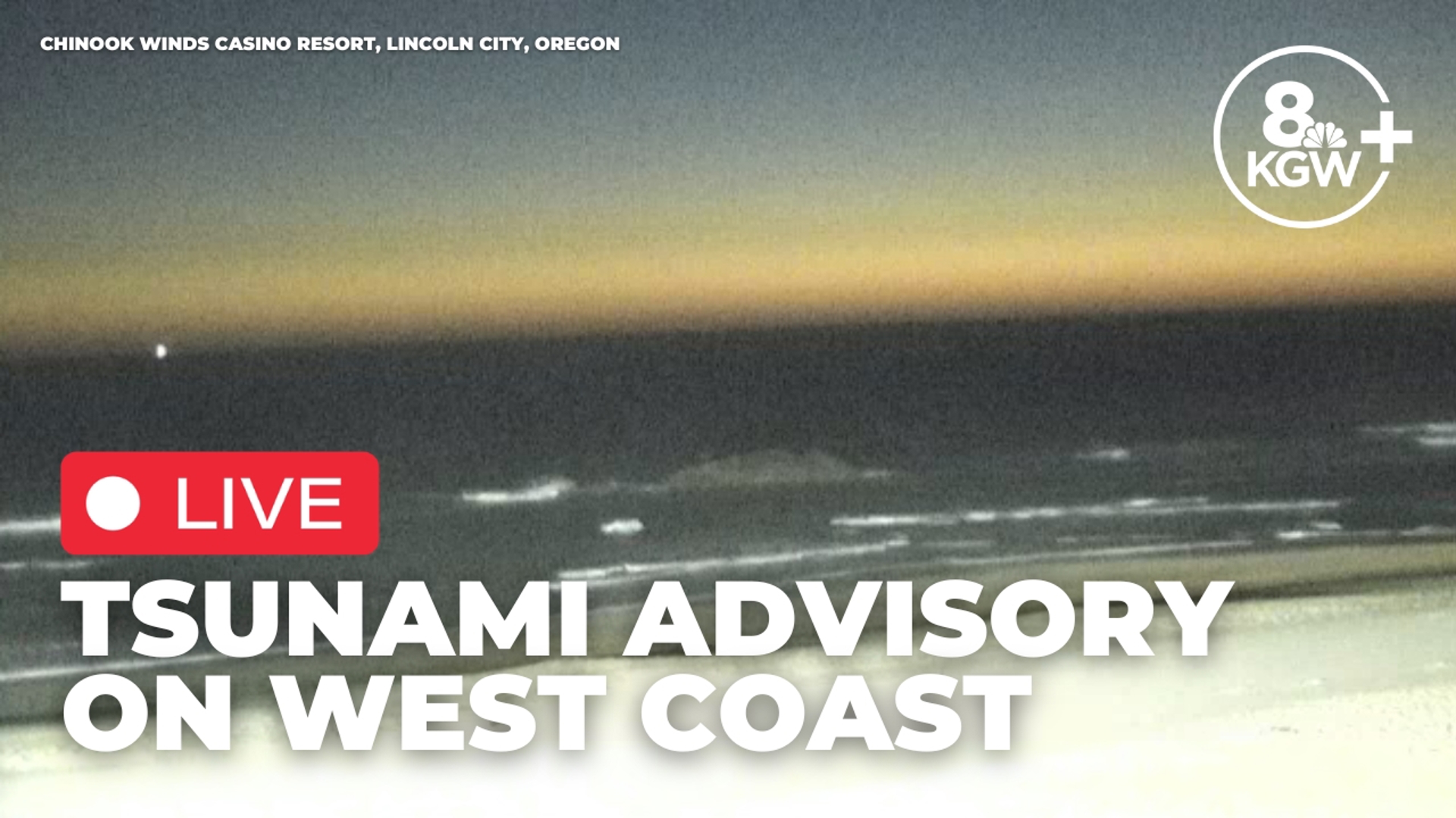 Tsunami learning video