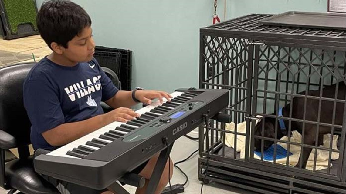 Fifth grader plays piano for dogs at rescue to help them relax - Vimarsana News