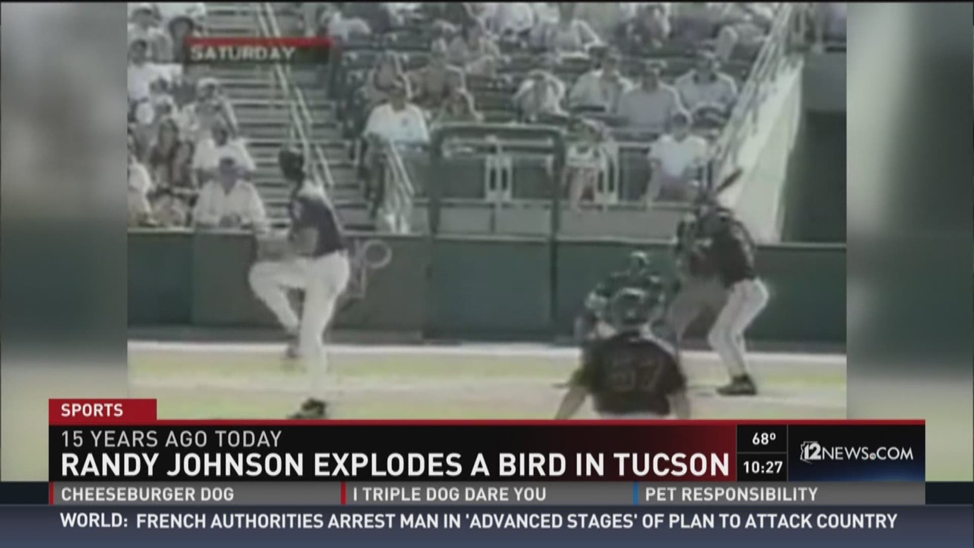 15 years ago D-backs Randy Johnson killed a bird with a pitch