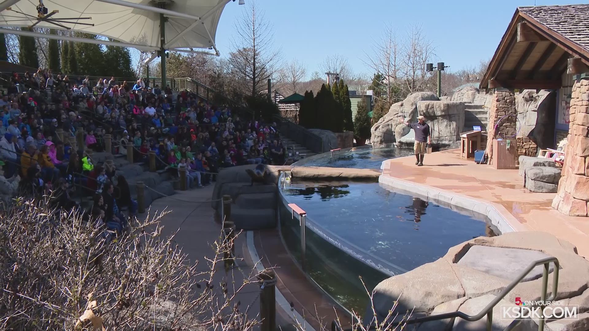 Come to the St. Louis Zoo for family-friendly Halloween fun! | 0