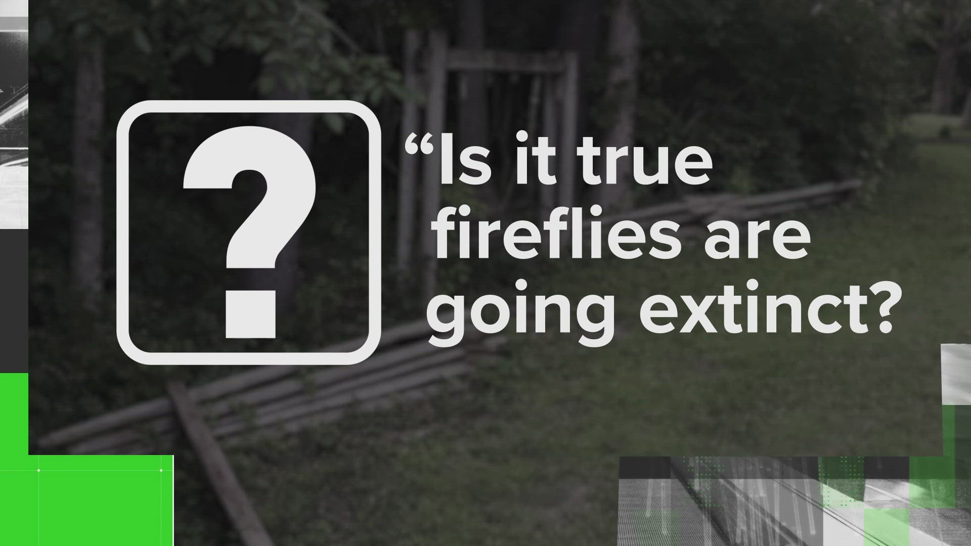 Firefly populations are declining, experts say. People are seeing fewer fireflies due to a reduced habitats.
