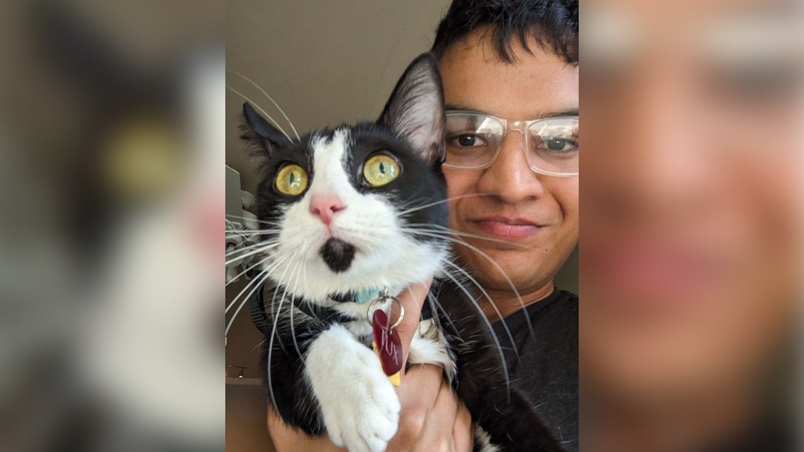 Austin man reunited with cat after claims Lyft driver took off - Vimarsana News