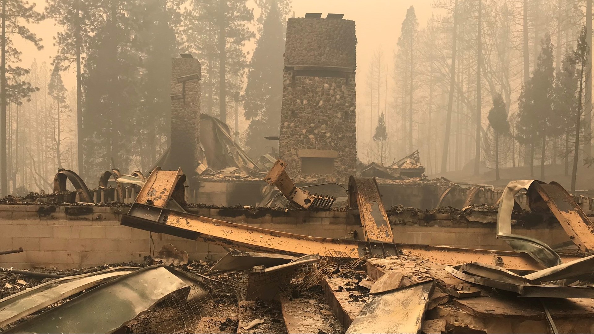 Former campers and volunteers said this was their happiest place on earth and that Disneyland didn't even come close.