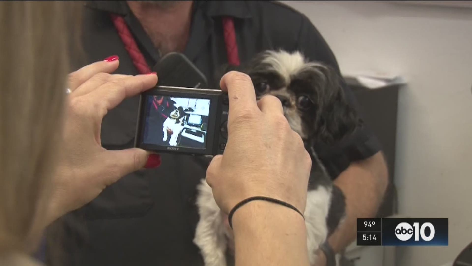 Solano County Animal Shelter adopts facial recognition technology for dogs. (August 16,m 2016)