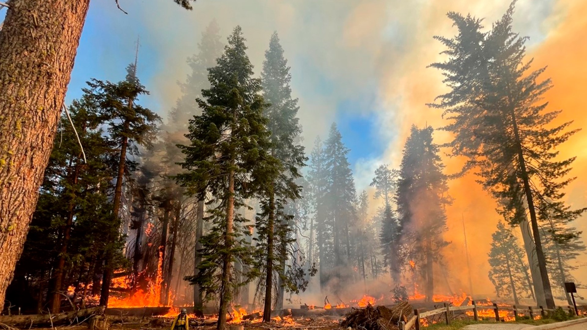 The Washburn Fire was 22% contained and moving away from the largest grove of sequoias in the park. Based on prevailing winds, it was unlikely to return to the grove