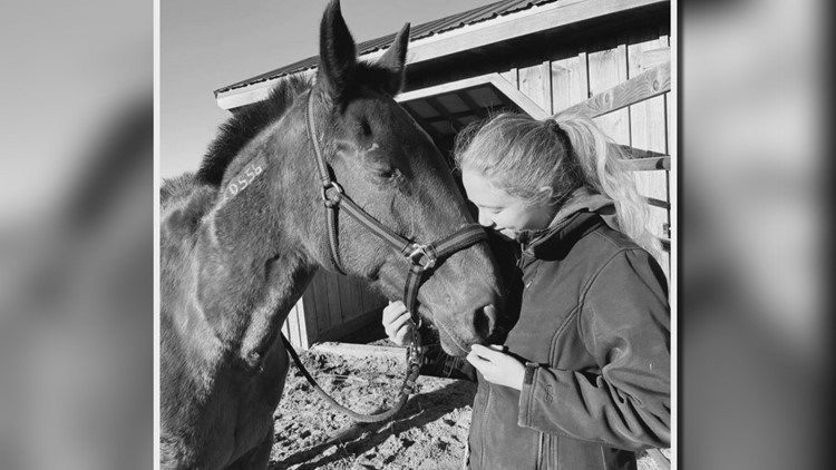 Former Maine racehorse rescued from kill pen by woman that helped raise her