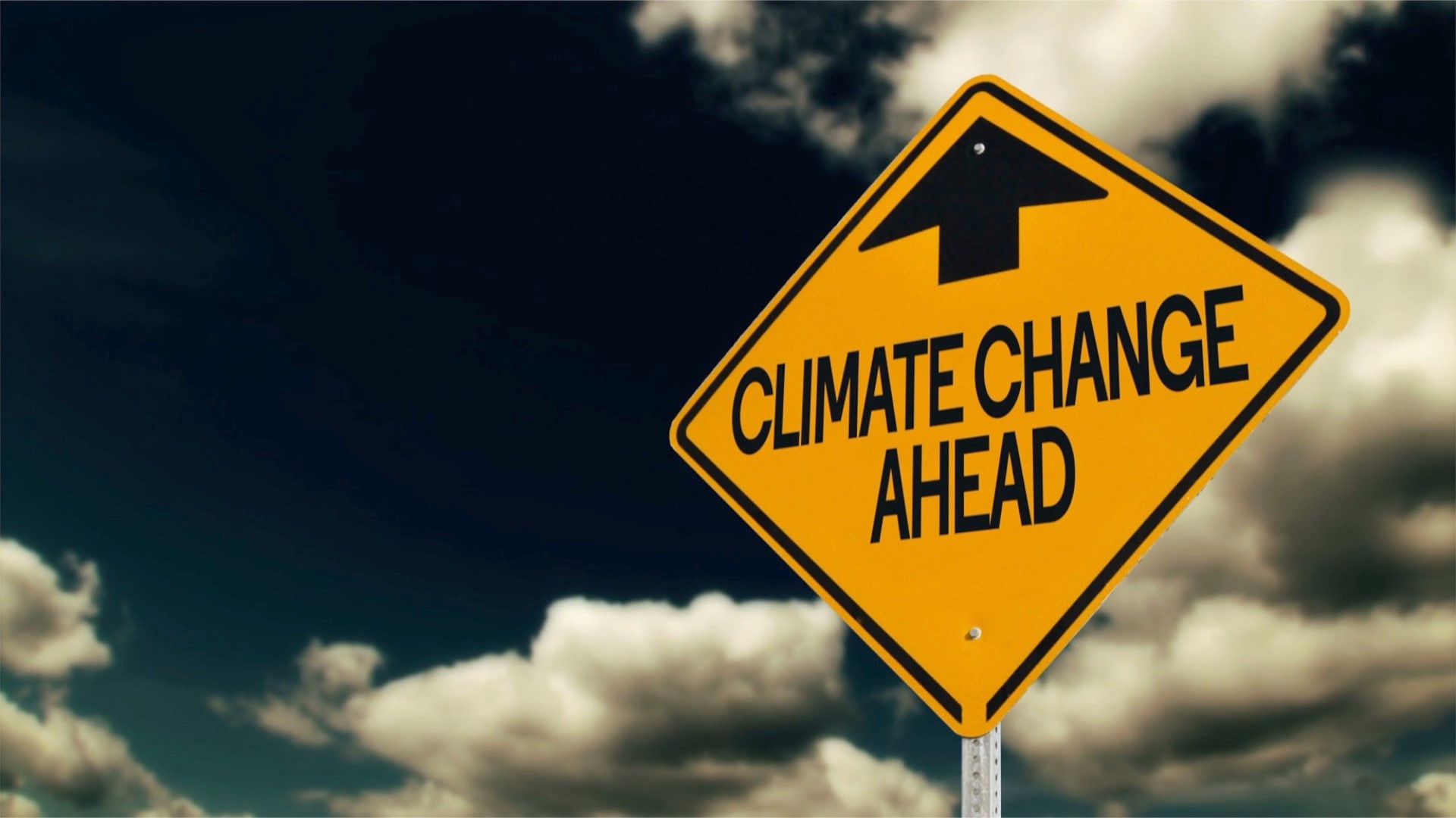 Teens are threatening not to have children among climate change crisis. Veuer's Natasha Abellard has the story.