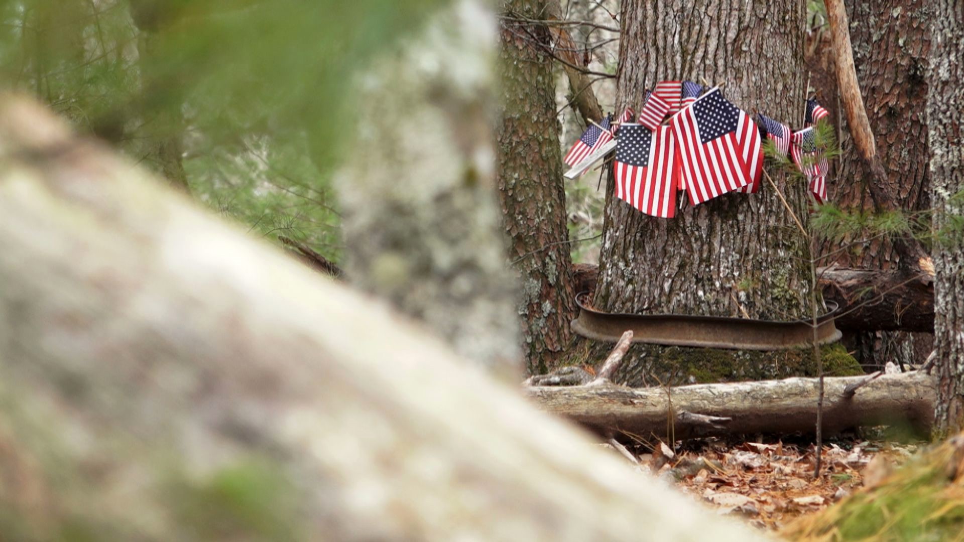 A secluded tree in Cades Cove marked a mournful moment at the Myers family farm with the attack on Pearl Harbor and an impending war (Originally aired December 7, 2015)