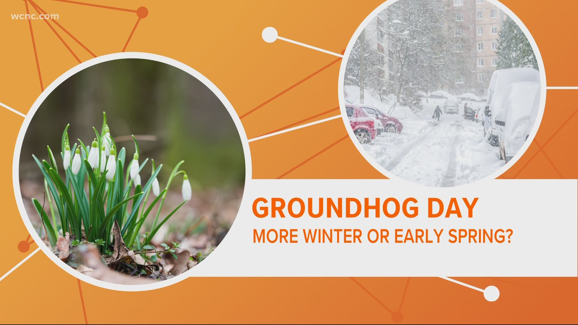 Tuesday is Groundhog Day, a time-honored tradition of trying to predict the arrival of spring. But just how accurate are those beloved groundhogs?