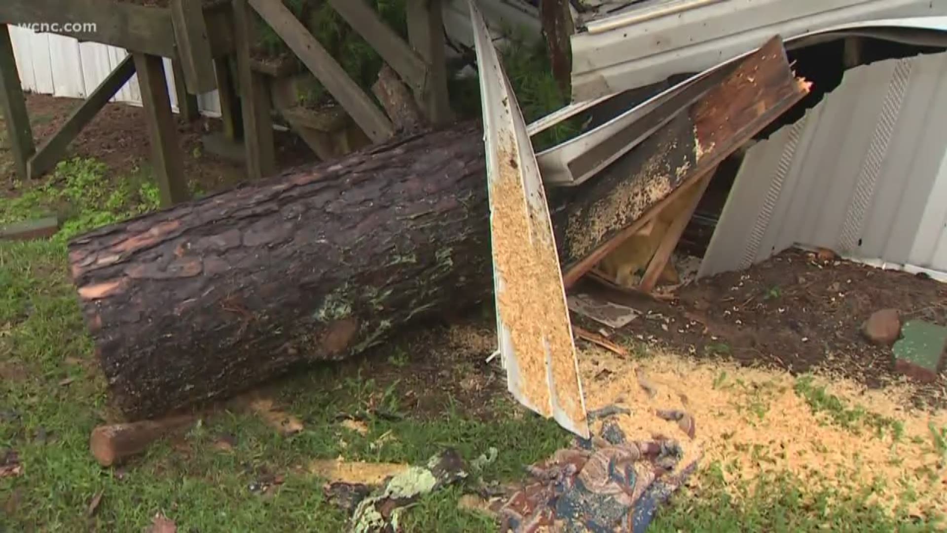 A 3-month-old baby boy was tragically killed when a tree fell on a mobile home.
