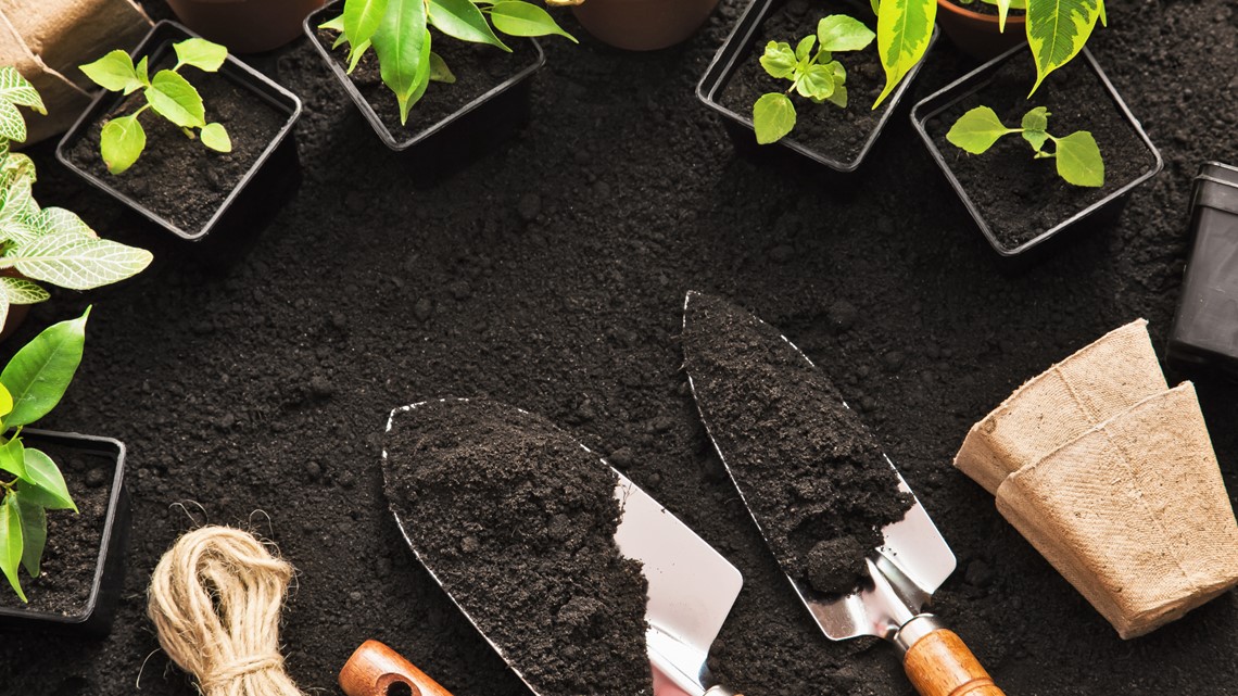 Free gardening kits from Lowe's