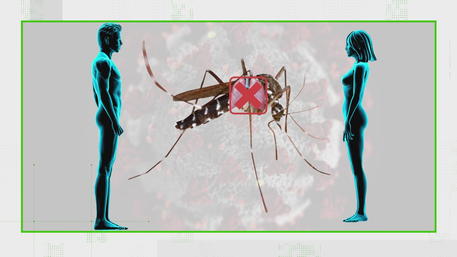 A mosquito is an insect. It doesn't have lungs. It breathes through its exoskeleton, so it can’t spread a virus through the air.