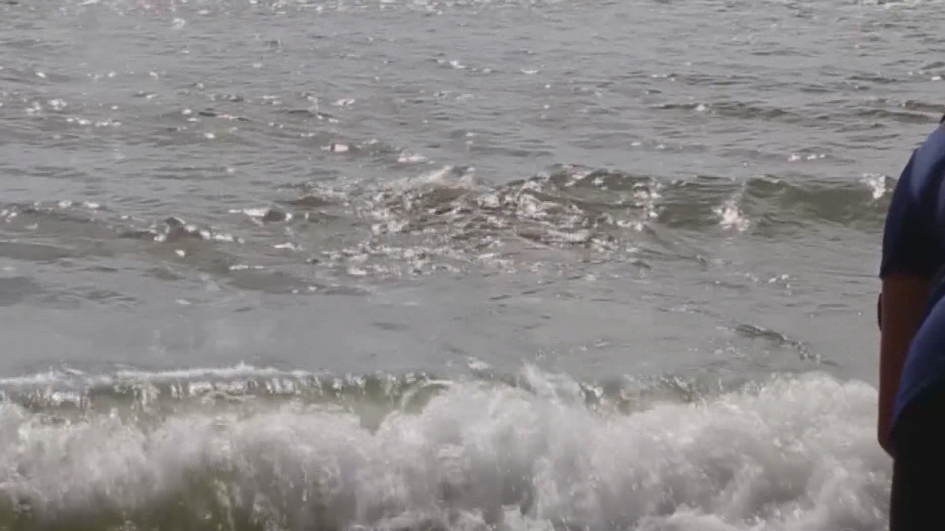 This loggerhead sea turtle almost died after being found cold-stunned on the Outer Banks last winter. He's all better thanks to rehab at the NC Aquarium, and made his way back to the ocean.