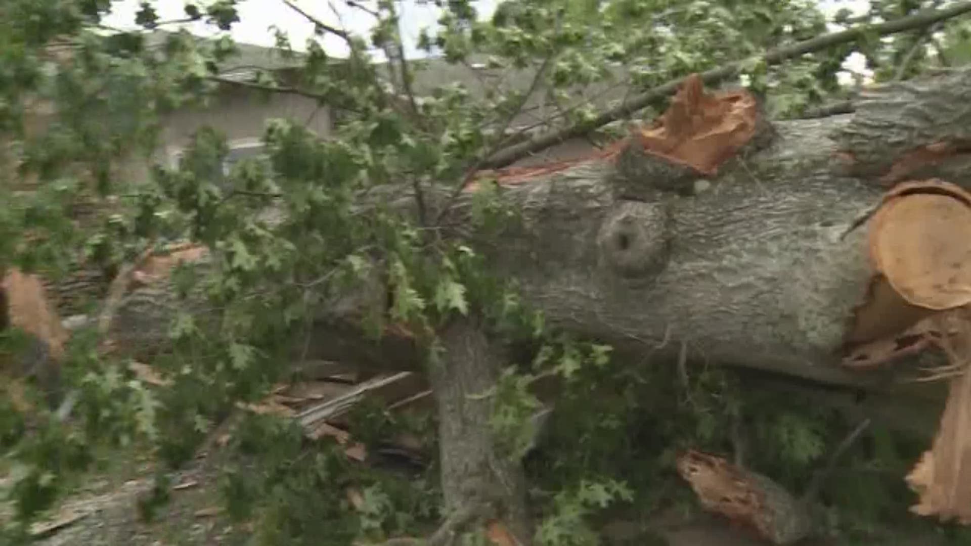 Three Crosses Survive EF-2 Tornado in North Carolina | 13newsnow.com