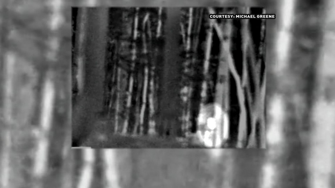 Carolina Bigfoot hunters claim sighting