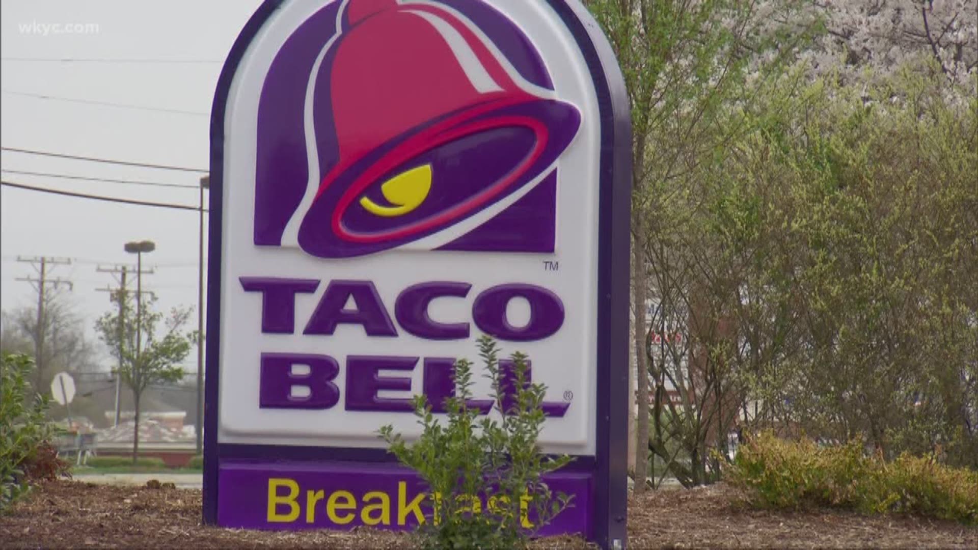 April 4, 2019: Taco Bell is testing some new vegetarian menu options.