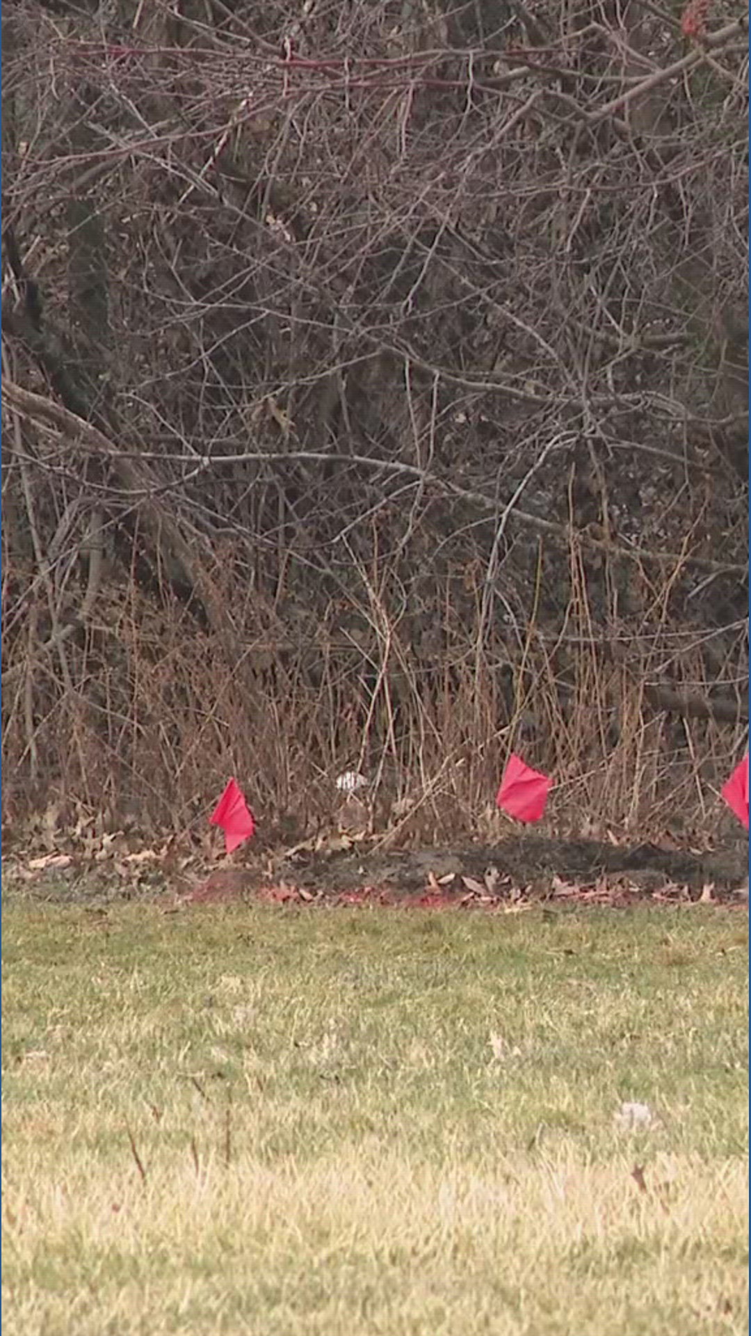 Cleveland police say bodies of 2 young girls were found in suitcases ...