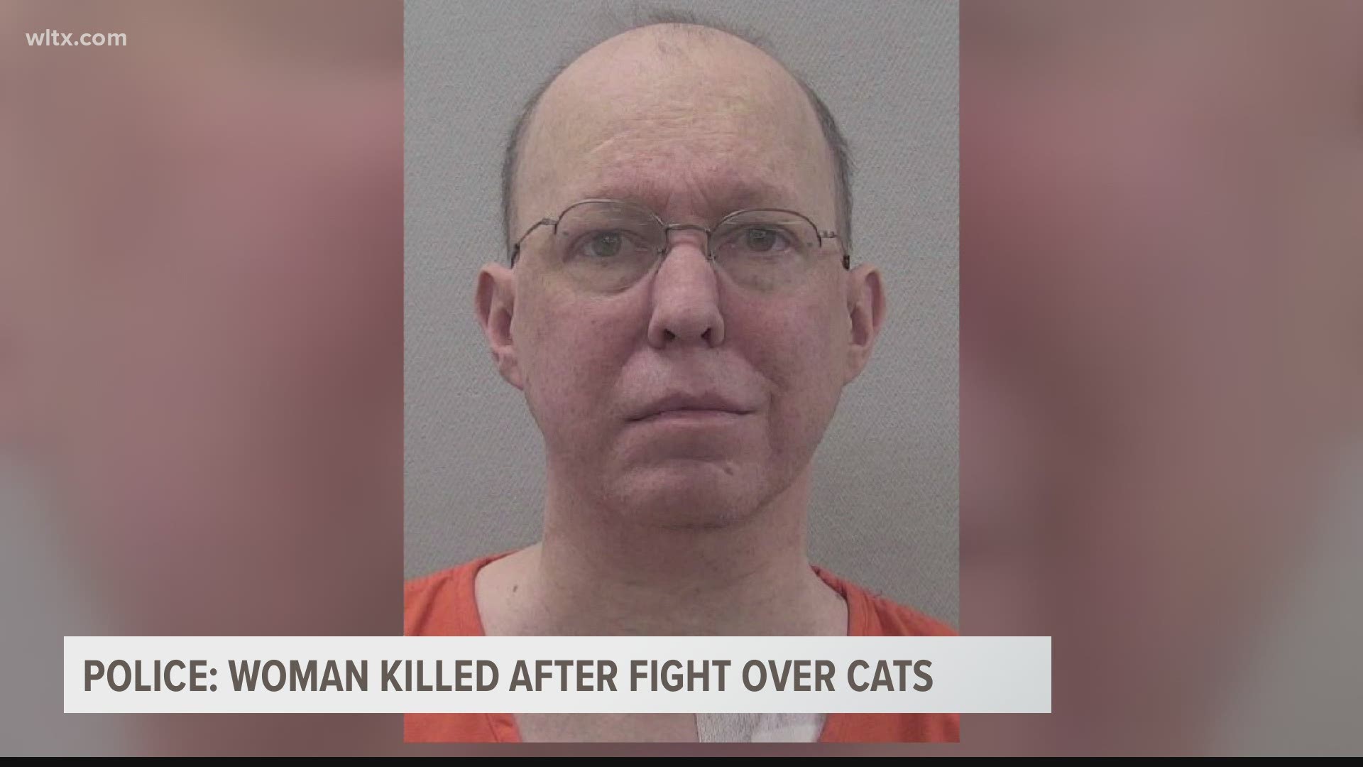 A South Carolina man is facing a murder charge after police say he killed a woman he was arguing with over stray cats.