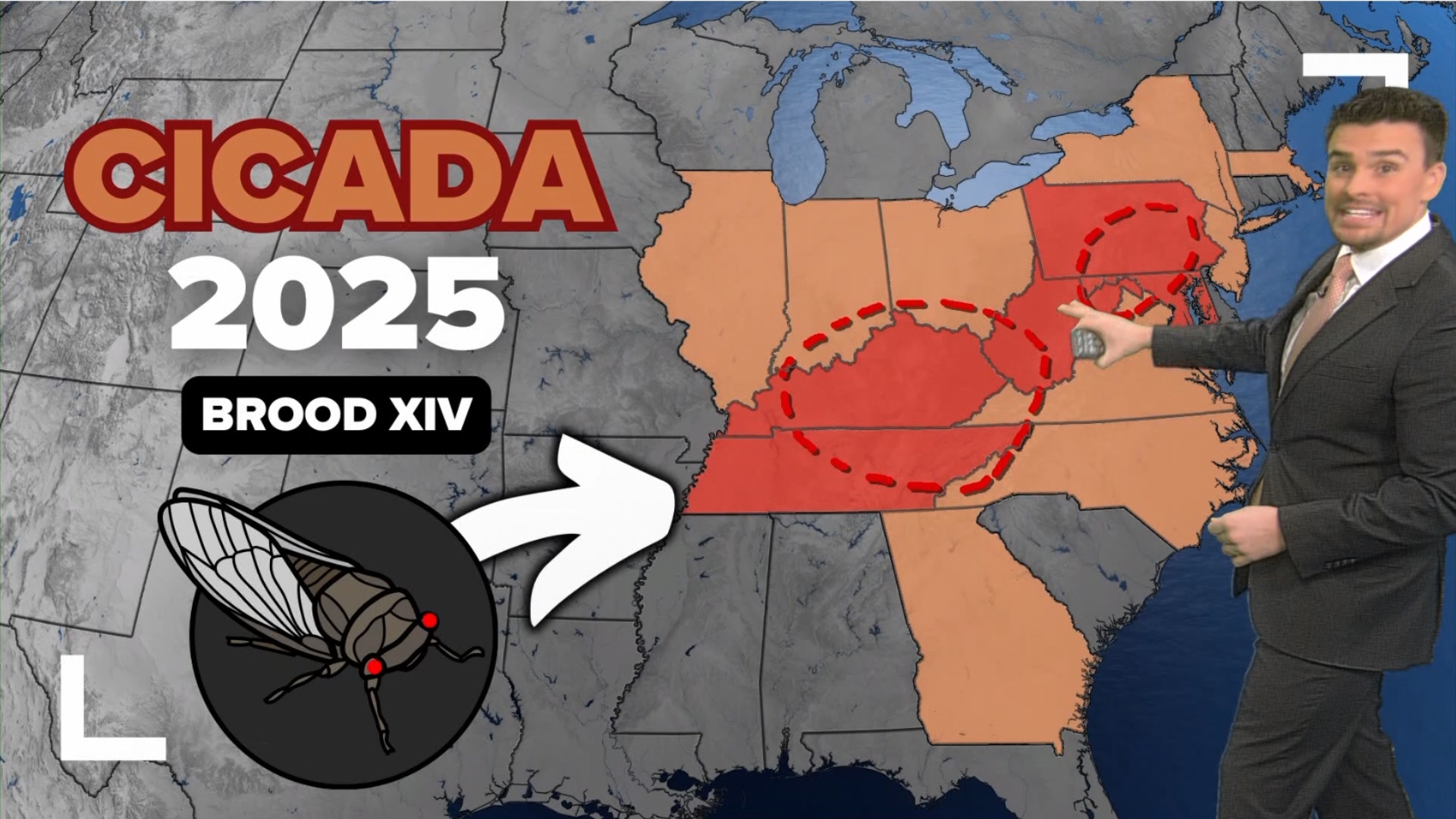 Cicadas coming to Virginia in 2025 When and where to expect them