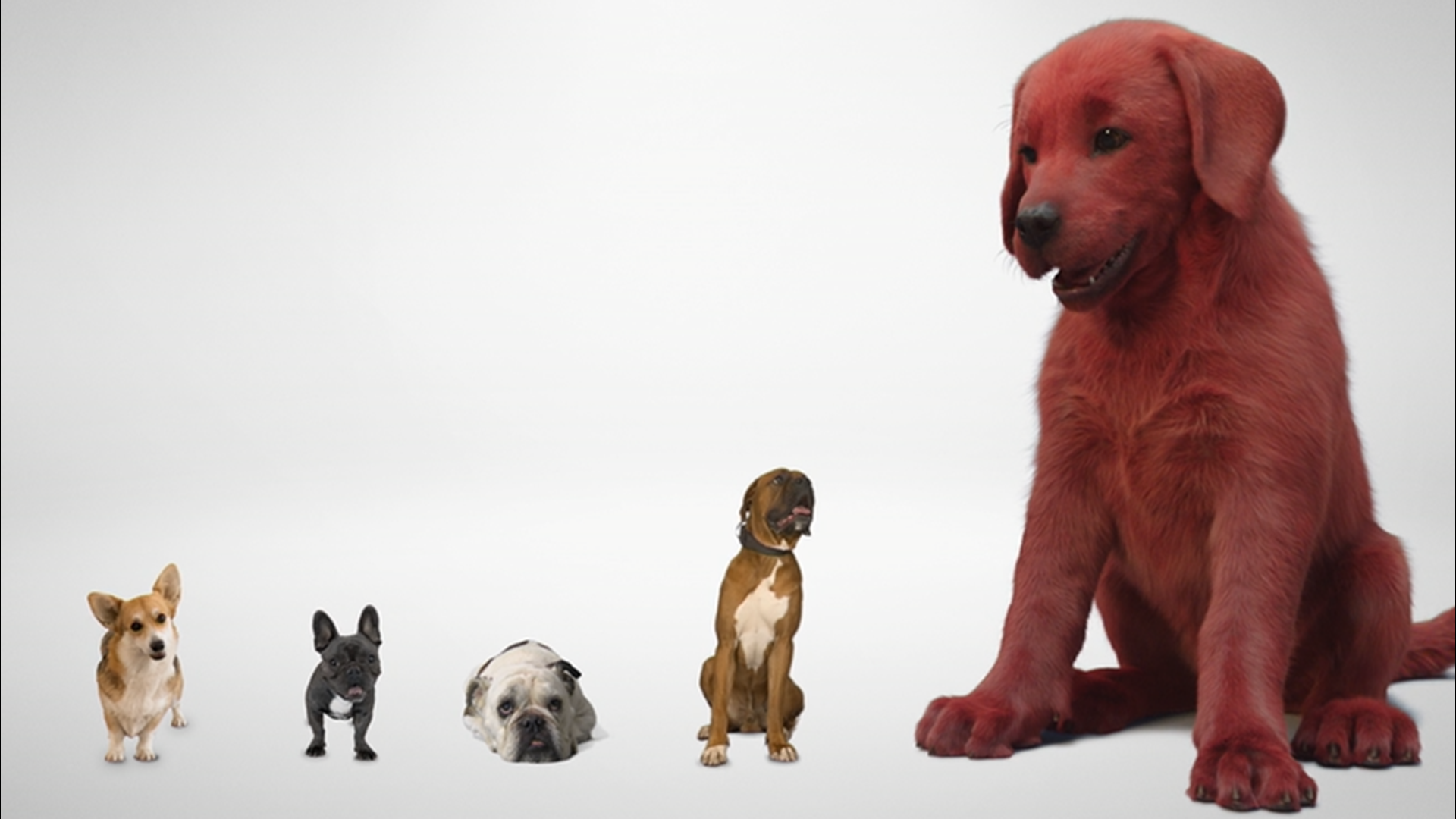 Paramount Pictures has released a first look at the upcoming live-action comedy film, "Clifford the Big Red Dog."