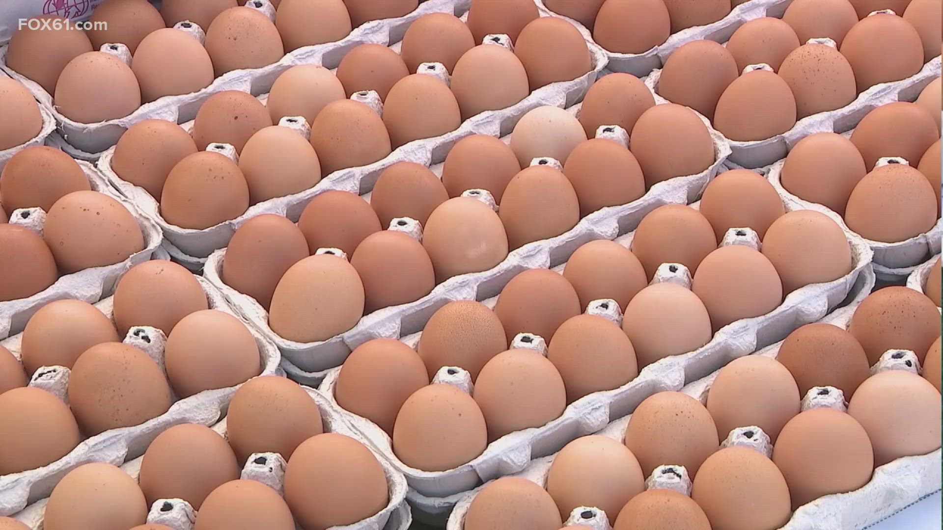 Egg prices are still on the rise, and some places are limiting egg purchases because of the demand, but what about businesses? Especially the ones that rely on eggs.