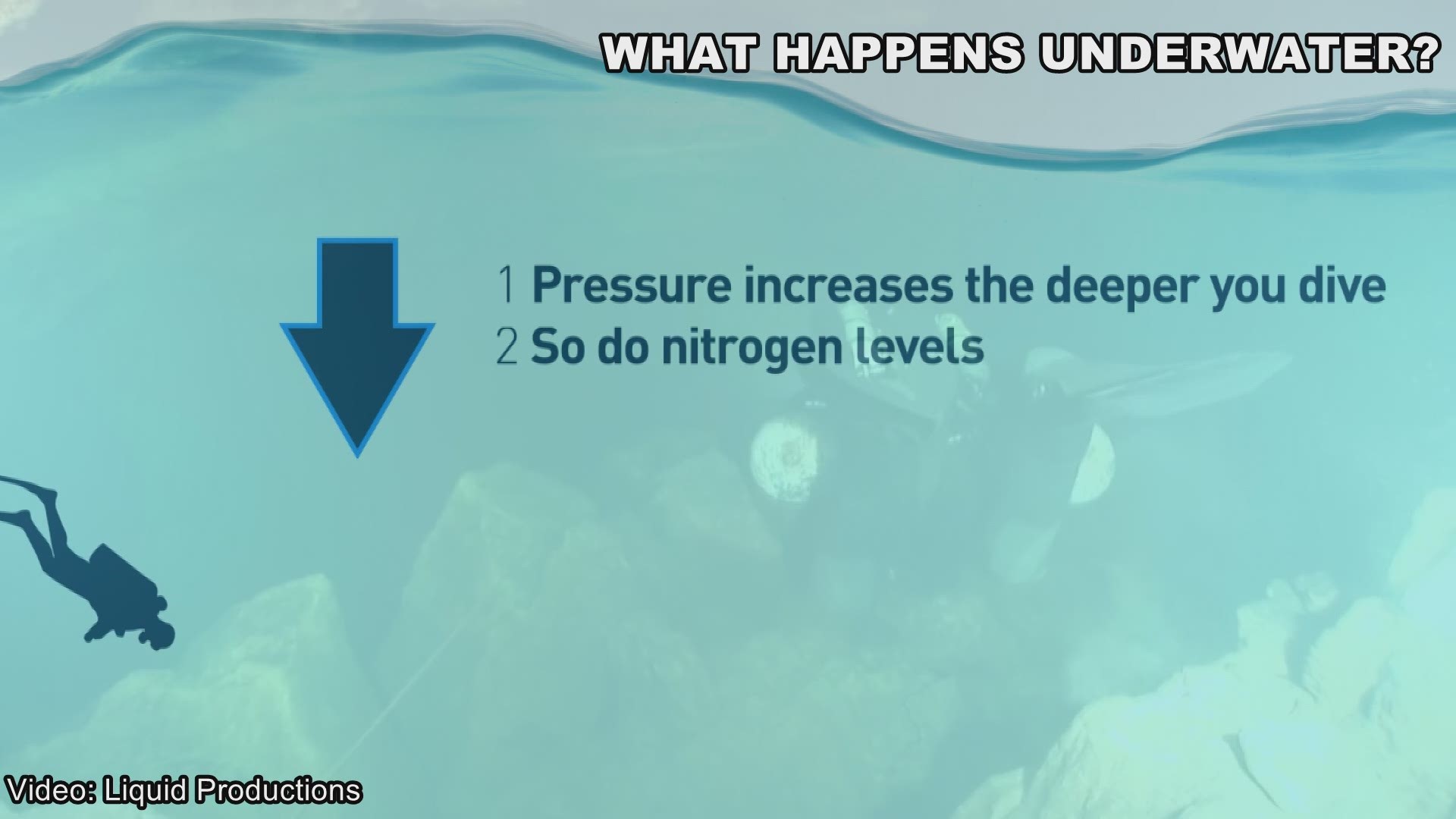 Experienced divers, Brett Hemphill and Andrew Pitkin explain why divers need to decompress