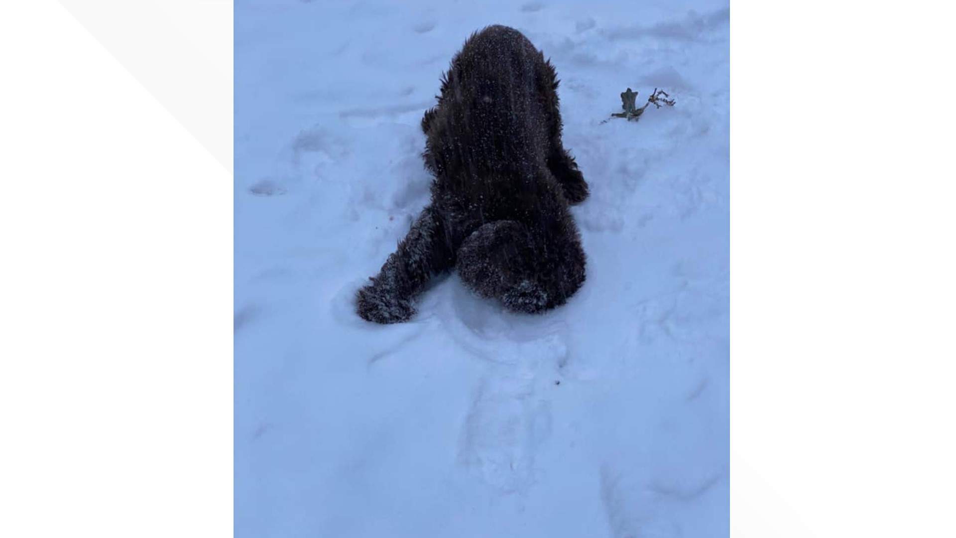 Major Ohio snowstorm latest updates and developments live blog