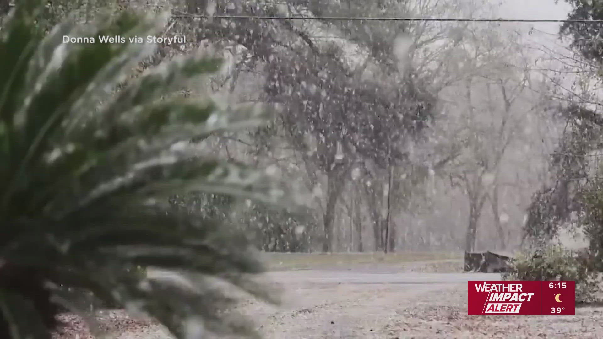 Snow In Florida Sign Florida snow 2026: Here are photos, videos capturing snowfall across ...