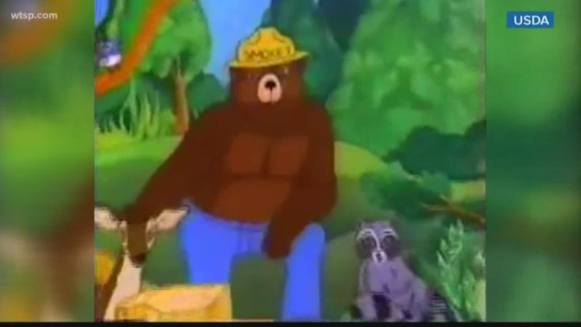 Forest Fire prevention icon Smokey Bear turns 75 