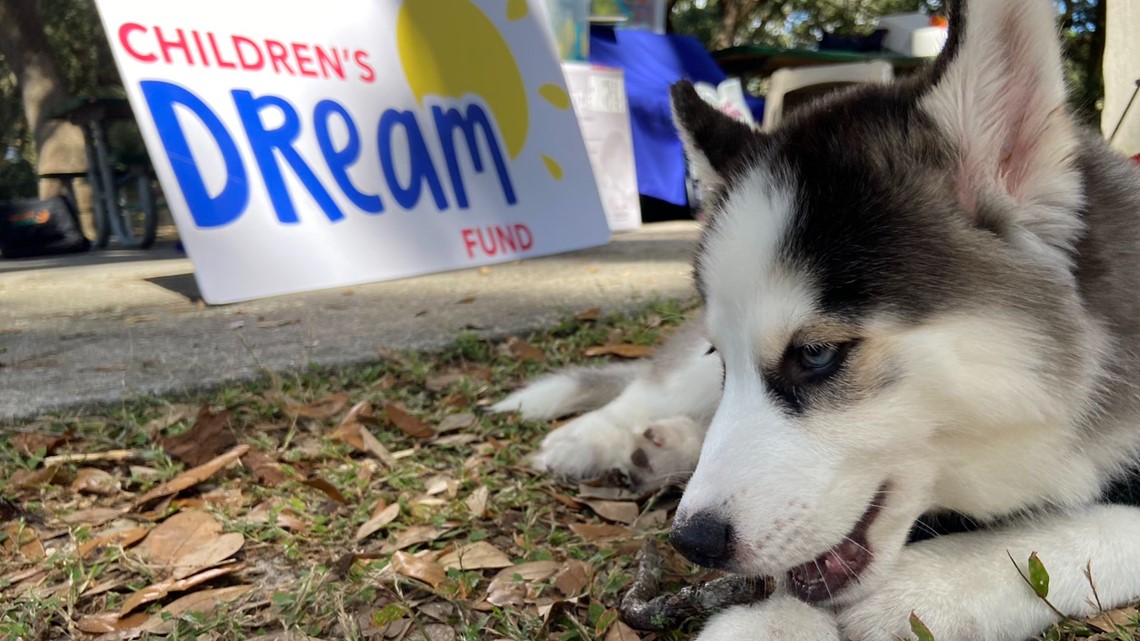 4-year-old with cancer surprised with puppy - Vimarsana News