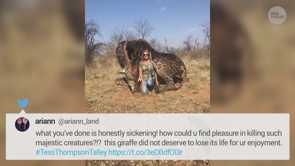 Hunter poses with dead black giraffe, sparks outrage 