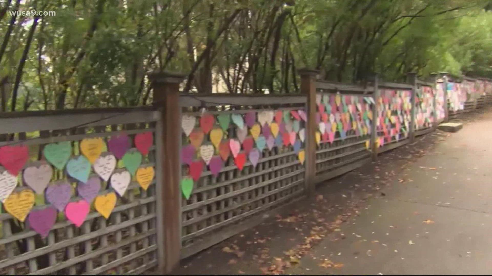 Neighbors can write and share uplifting, positive messages and drop them off to be laminated and added to the display.