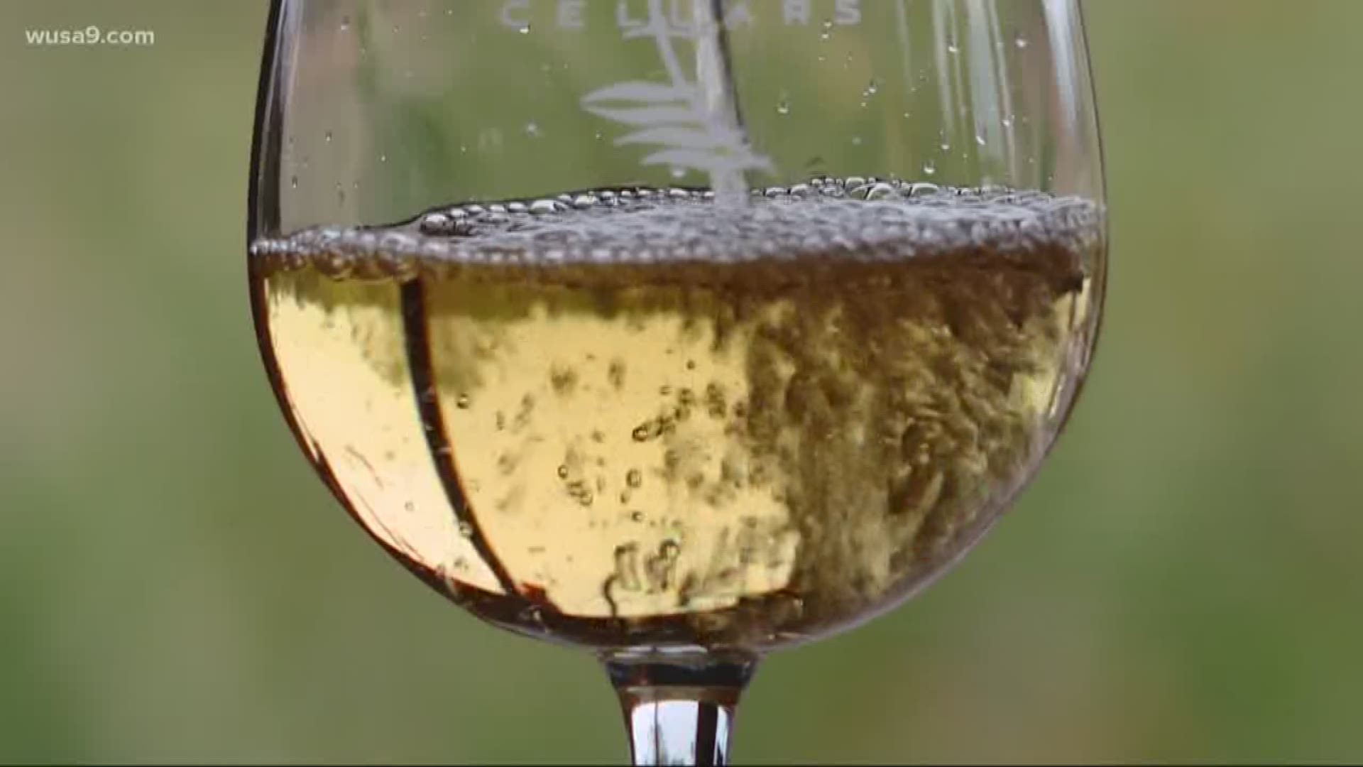 The record temperatures and dry weather is concentrating the flavors in the grapes ripening in Virginia's wine country.