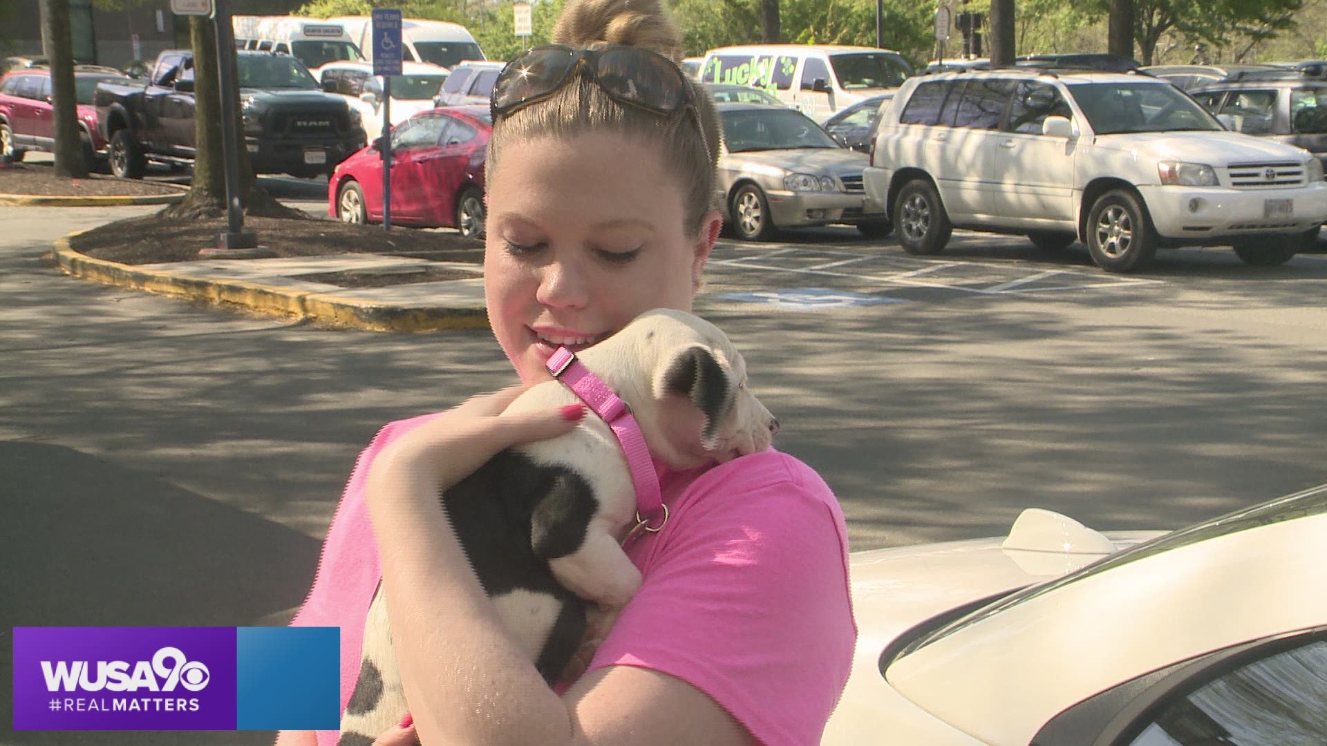 This weekend, more than two dozen dogs and cats found forever homes during a special pet adoption in the Shirlington neighborhood of Arlington, Virginia.