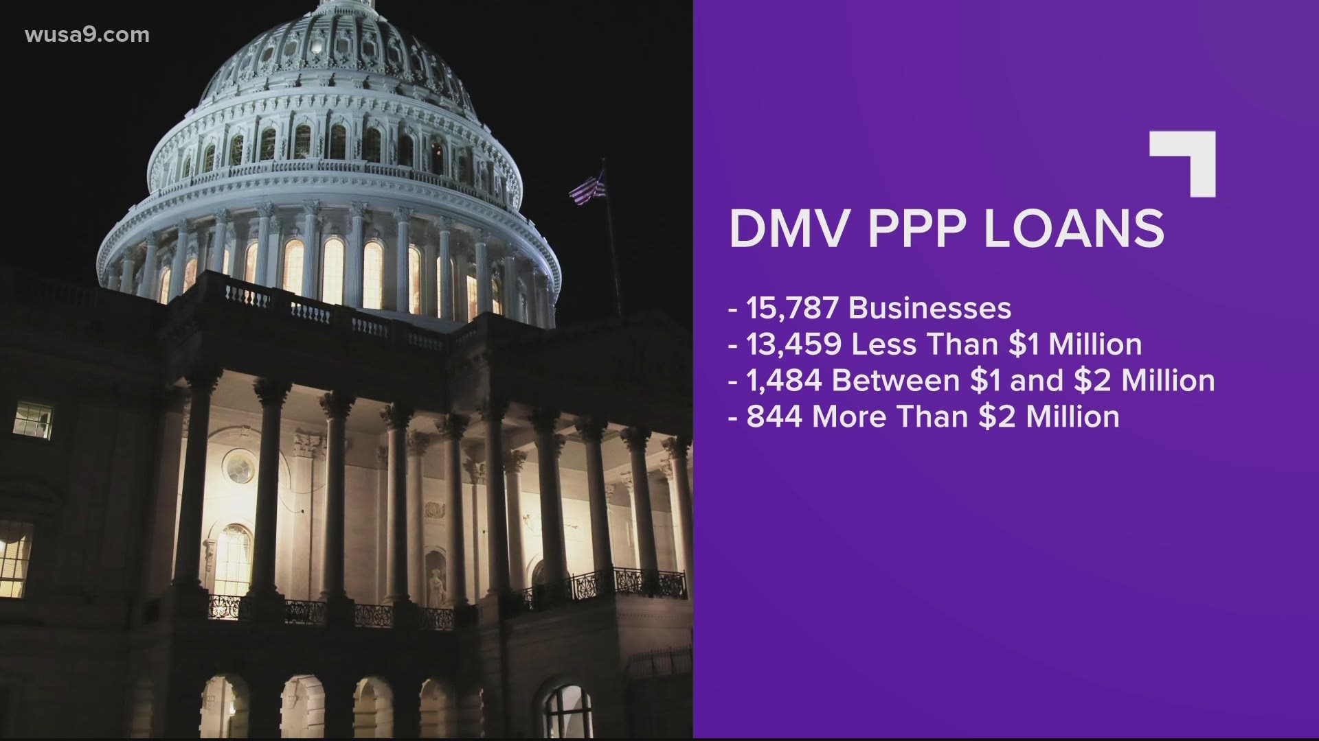 The Paycheck Protection Program was supposed to help small businesses but turns out large corporations took advantage.